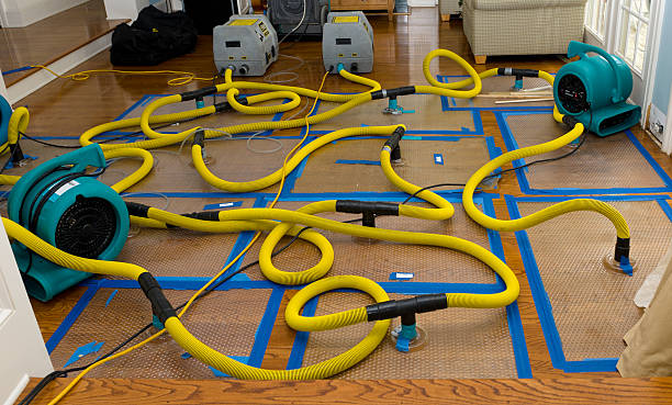 Professional Emergency Water Removal technician working in Millburn, NJ